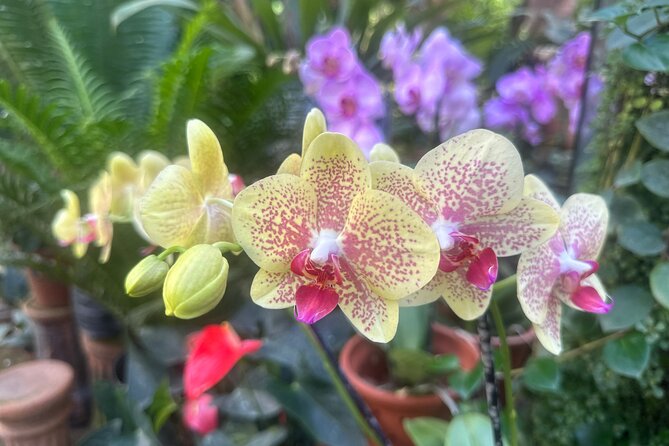 1/2 Day Puerto Vallarta Botanical Garden tour - A coffee stop with a taste of the region