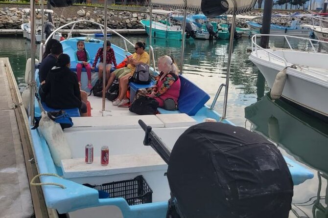 3 Hours of Whale Watching in Puerto Vallarta - Is $55 a fair price?