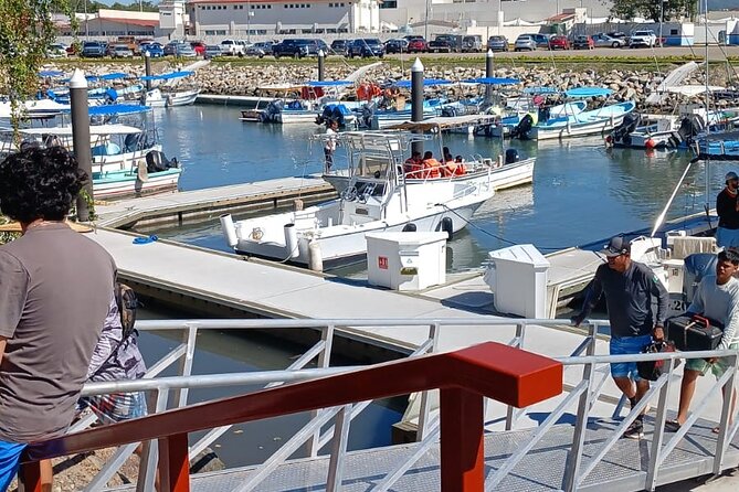 3 Hours of Whale Watching in Puerto Vallarta - Timing matters more than the three-hour promise