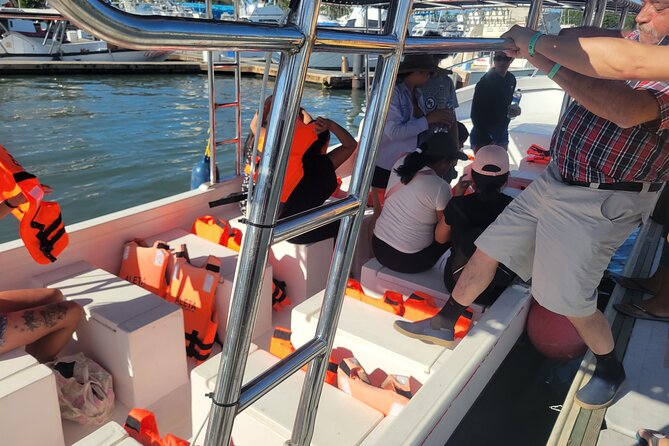 3 Hours of Whale Watching in Puerto Vallarta - Who will enjoy this experience most?