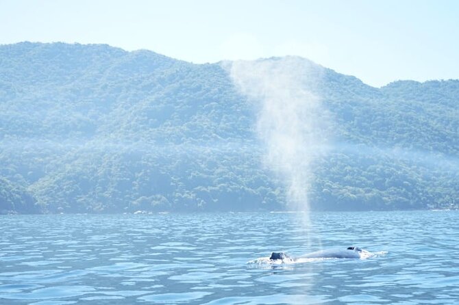 3 Hours of Whale Watching in Puerto Vallarta - Leaving Los Peines and crossing toward Nayarit