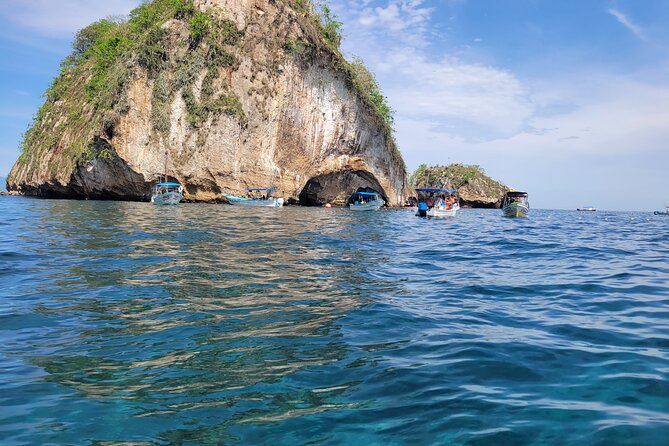 3 hours private snorkeling tour in Misaloya, Puerto Vallarta - Blue-footed boobies and other possible wildlife