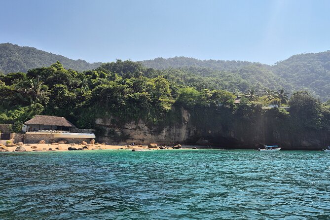 3 hours private snorkeling tour in Misaloya, Puerto Vallarta - The language and service question