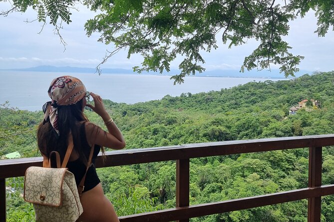 4-Hour Jungle Hike and Waterfall Swim - What makes the $35 price worthwhile