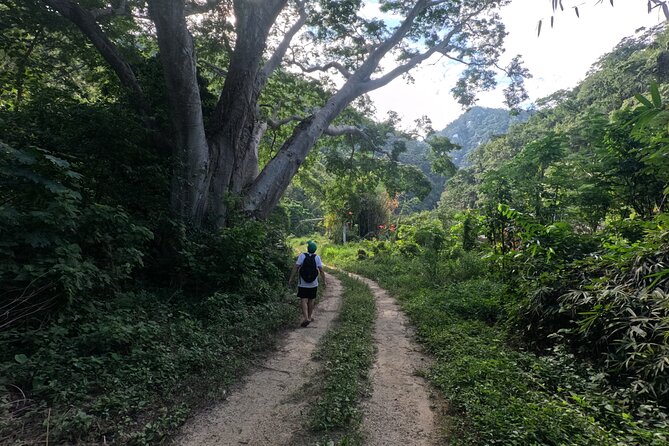 Adventure route: Hike to Cascada Escondida - Who Should Book This Hike