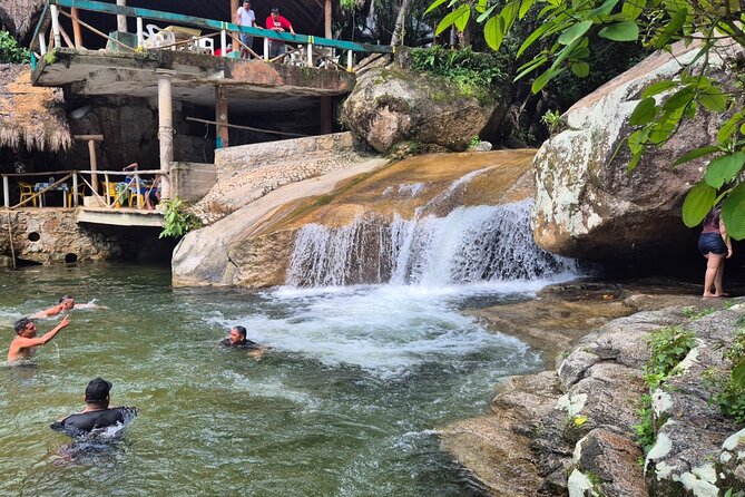 All Vallarta and tequila factory and waterfall - Key points to know before booking