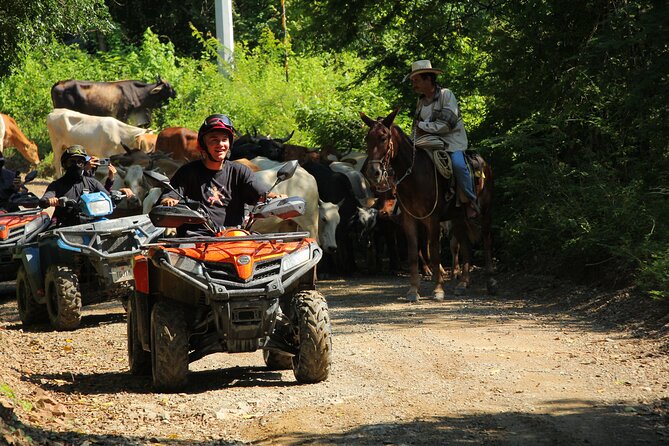ATV Tour Rio Cuale Sierra Madre Mountains and tequila tasting - Is $77.66 a fair price?