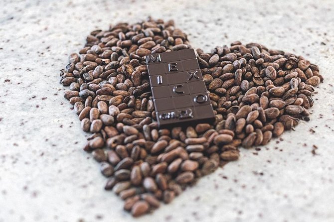 Bean to Bar Chocolate Workshop in Puerto Vallarta - Is $62.90 a fair price?