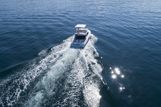 Bertram 38' Convertible Boat in Puerto & Nuevo Vallarta - What the $800 group price really buys