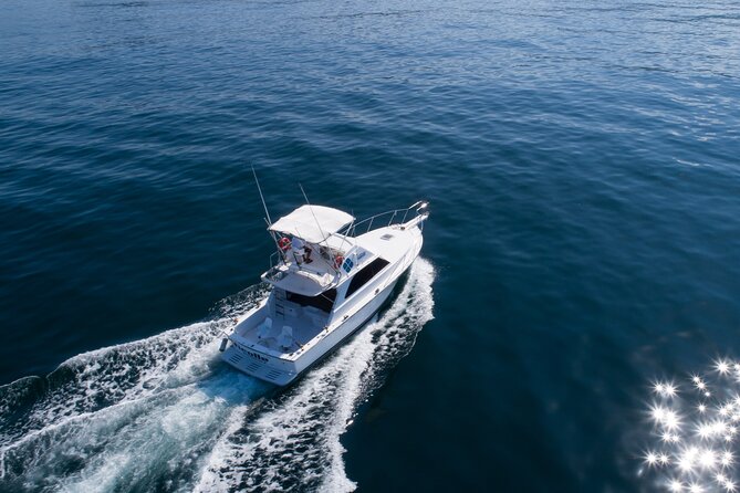 Bertram 38' Convertible Boat in Puerto & Nuevo Vallarta - Who will get the most from this boat trip