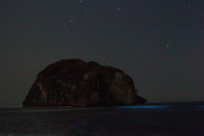 Bioluminescence & sunset local boat tour to Los Arcos Sanctuary - Entering the water after nightfall