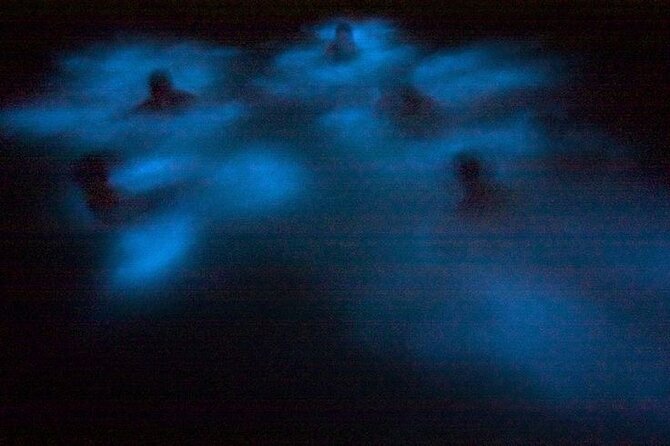 Bioluminescence & sunset local boat tour to Los Arcos Sanctuary - What to bring for a better three-hour outing