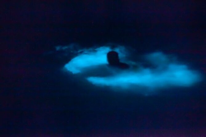 Bioluminescence & sunset local boat tour to Los Arcos Sanctuary - Meeting in Zona Romántica and walking to the marina