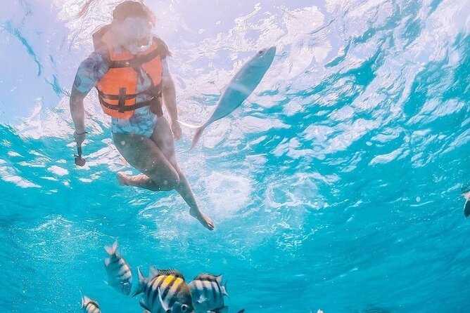 Boat and Snorkel Tour to 5 Islands of Los Arcos - The public bus ride from Zona Romántica to Mismaloya