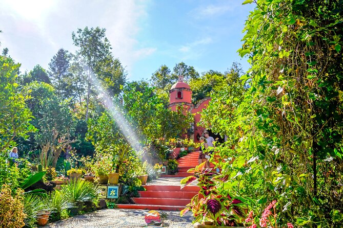 Botanical Garden: Private Day Trip of Flora & Fauna in Vallarta. - Key points to know before booking