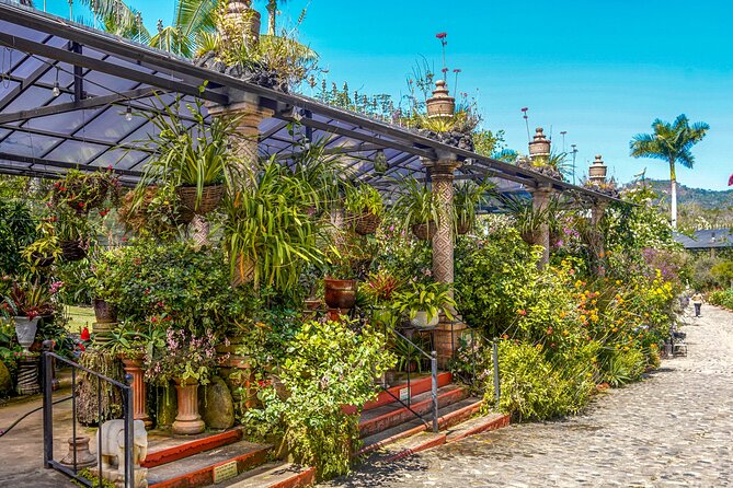 Botanical Garden: Private Day Trip of Flora & Fauna in Vallarta. - From your hotel to the Mismaloya coast