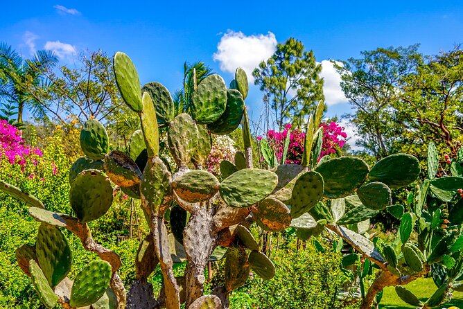 Botanical Garden: Private Day Trip of Flora & Fauna in Vallarta. - The river swim and what to pack