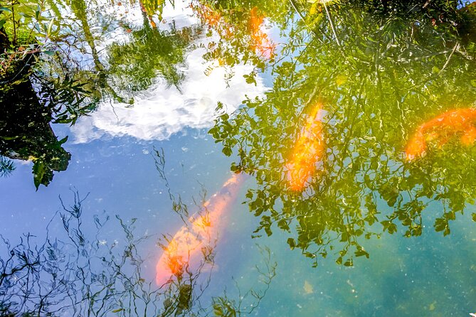 Botanical Garden: Private Day Trip of Flora & Fauna in Vallarta. - What the $107.99 price really covers