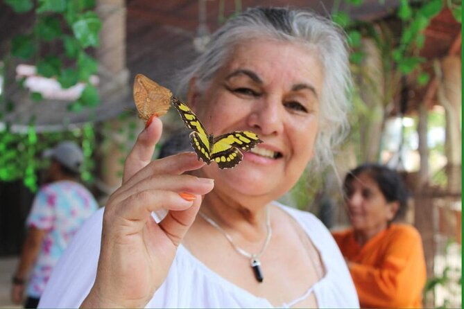 Butterflies, City tour, tequila, and beach (kids free) - Punta Negra and the ride south