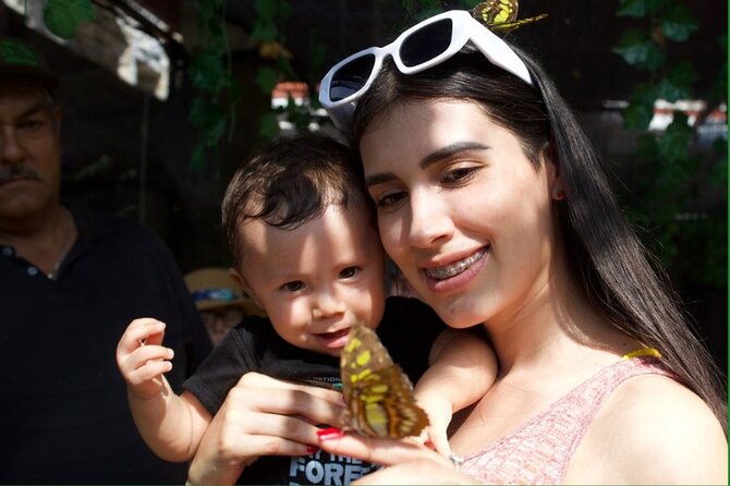 Butterflies, City tour, tequila, and beach (kids free) - Mariposario Morpho: the most worthwhile stop