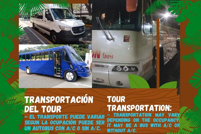 Butterflies, City tour, tequila, and beach (kids free) - The jewelry workshop: interesting craft, heavy sales pressure