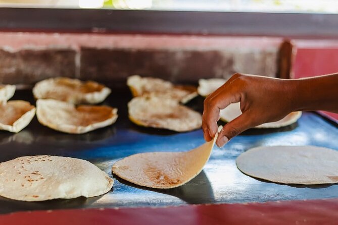 Butterfly Sanctuary, Museum & Lunch with Transport - A local lunch adds more than calories