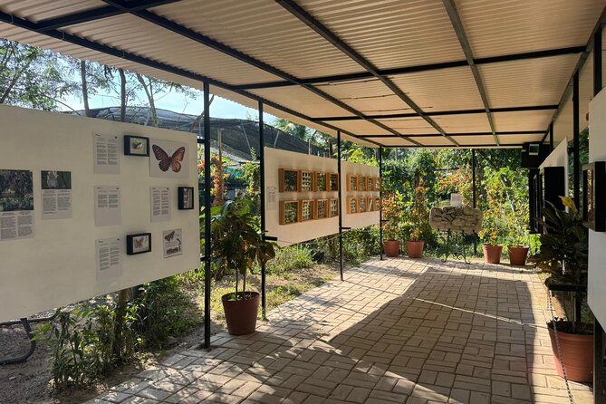 Butterfly Sanctuary, Museum & Lunch with Transport - The overall feel of the experience