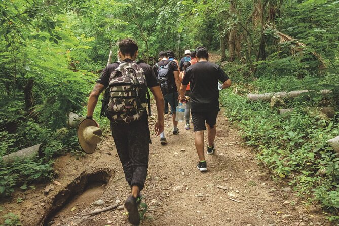 Canopy EcoPark Adventure with transportation from Puerto Vallarta - Two Hours at the River Club