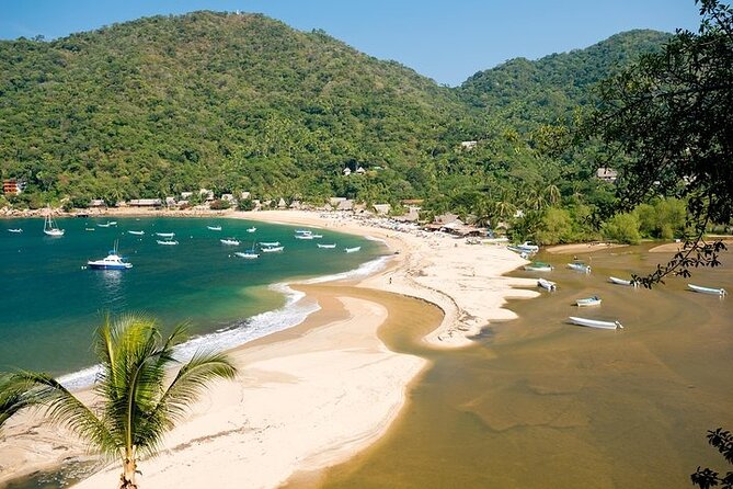 Catamaran Yelapa Beach Tour with Snorkeling, Food and Open Bar - Key points to know before booking