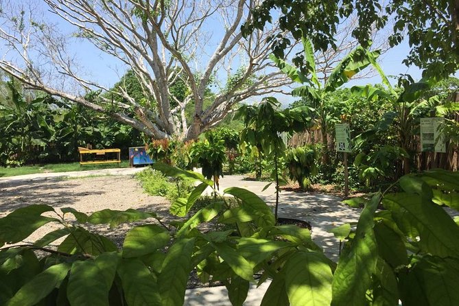 Chocolate Tour in Vallarta - Guides who make the private format work