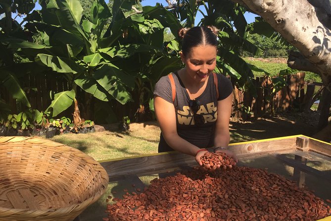 Chocolate Tour in Vallarta - The real cost: $39 plus transportation