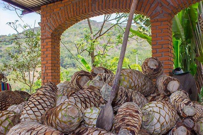 City and Tequila Tour in Puerto Vallarta - A six-hour introduction to Puerto Vallarta