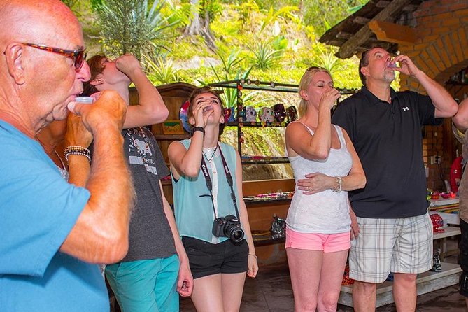 City and Tequila Tour in Puerto Vallarta - Guides, translation, and the group atmosphere