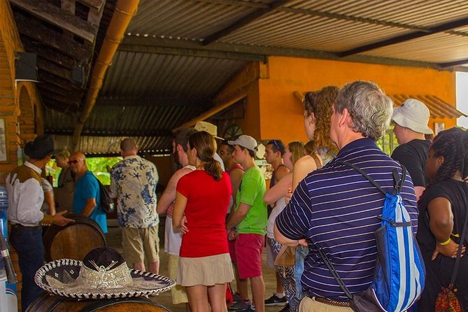 City and Tequila Tour in Puerto Vallarta - Transportation and timing at 9:00 a.m.