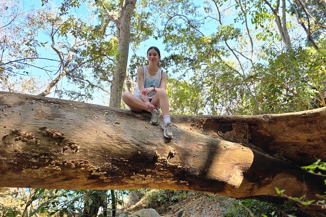 Coastal and Jungle Hiking Tour along 6 Beaches of Puerto Vallarta - Why this coastal route feels different