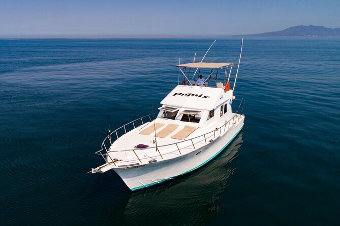 Custom 46' Boat in Puerto & Nuevo Vallarta - Whale and Dolphin Watching from the Water
