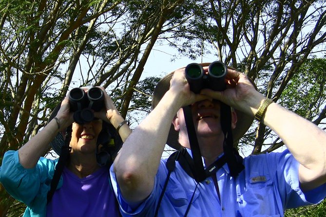 Desembocada and Ameca River Bird Paradise (Wetland and Tropical birds in PV) - Comfort, food, and what to bring