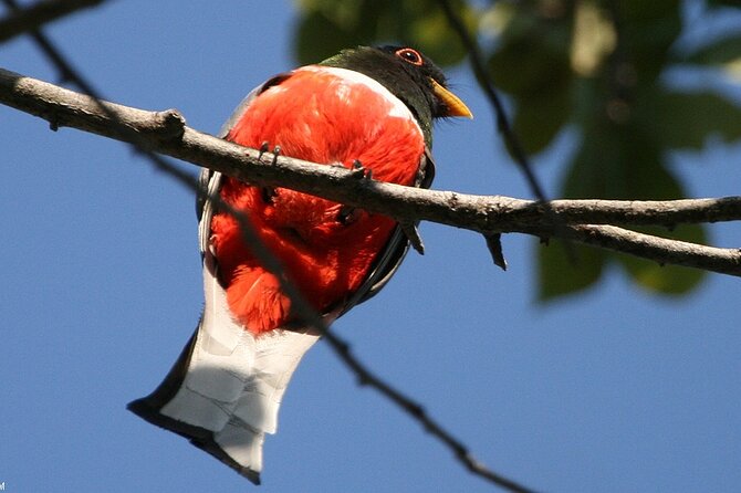 Desembocada and Ameca River Bird Paradise (Wetland and Tropical birds in PV) - How the value works