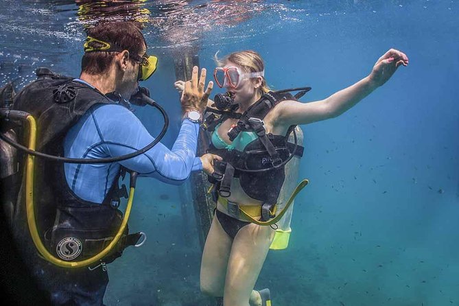 Discover Scuba experience at Las Caletas, Puerto Vallarta - The 8:00 am start at Puerto Mágico