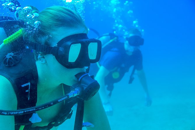Discover Scuba experience at Las Caletas, Puerto Vallarta - The dock lesson and first descent