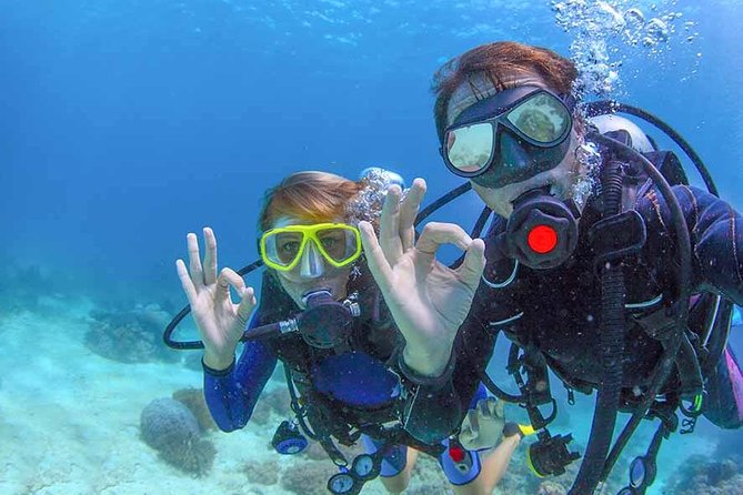 Discover Scuba experience at Las Caletas, Puerto Vallarta - What you may see at 35 feet