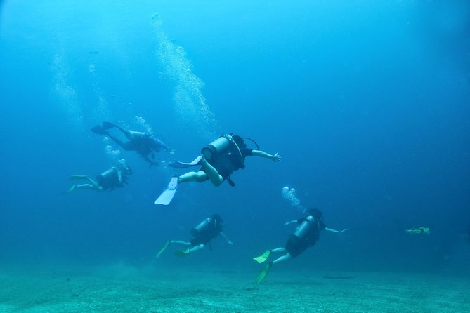 Discover Scuba experience at Las Caletas, Puerto Vallarta - Health rules and practical limits