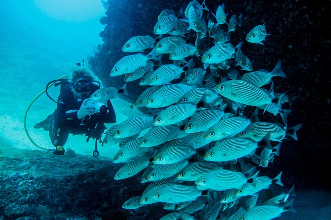 Discover Scuba experience at Las Caletas, Puerto Vallarta - The 50-minute boat ride to Las Caletas