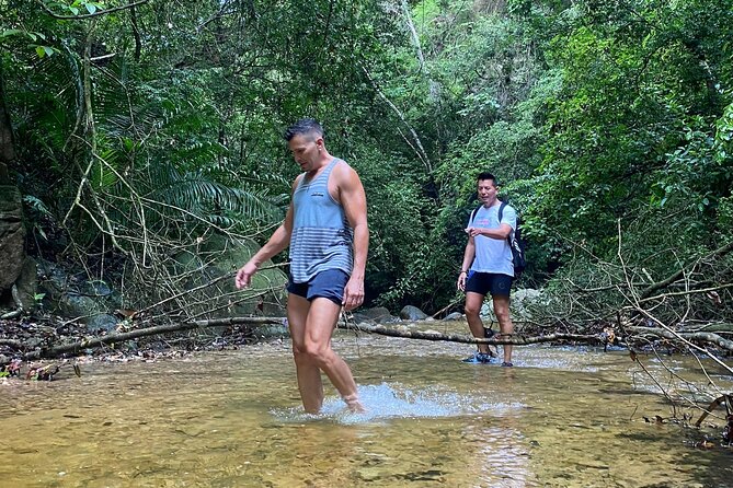El Nogalito Mountain River- Hiking Tour - Flora and fauna with Curiel