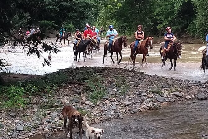 Experience 3 in 1 - Horse Riding, Zipline & ATV Shared - Arriving at Rancho Capomo around 8 a.m.