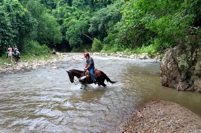 Experience Horse Riding, ATV & Zipline from Puerto Vallarta - Horseback Riding Through Rivers and Mountains