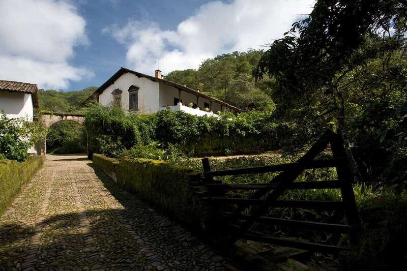 From Puerto Vallarta: Full-Day Tour to San Sebastian - Who will enjoy this day most