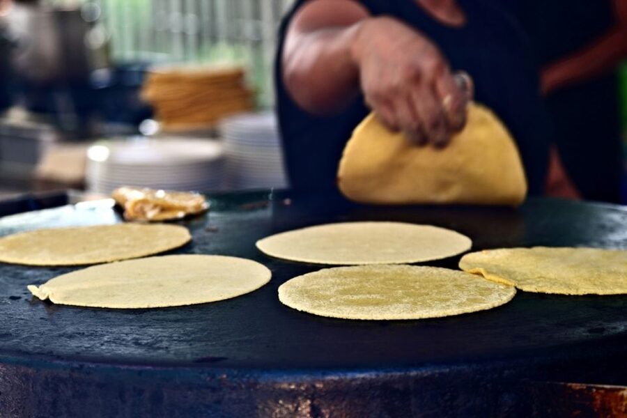 From Puerto Vallarta: Full-Day Tour to San Sebastian - What $89 buys you