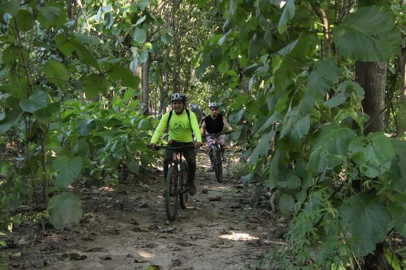 From Puerto Vallarta: Jungle Mountain Bike Tour - Key points to know before you book