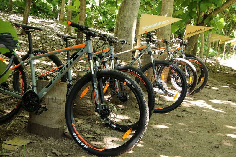 From Puerto Vallarta: Jungle Mountain Bike Tour - Riding through forest, pasture, and mountain views
